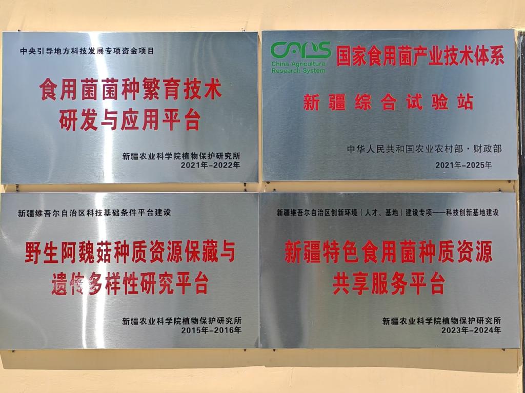 新疆农科院植保所安宁渠食用菌试验基地科研平台 新疆农科院植保所安宁渠食用菌试验基地科研平台