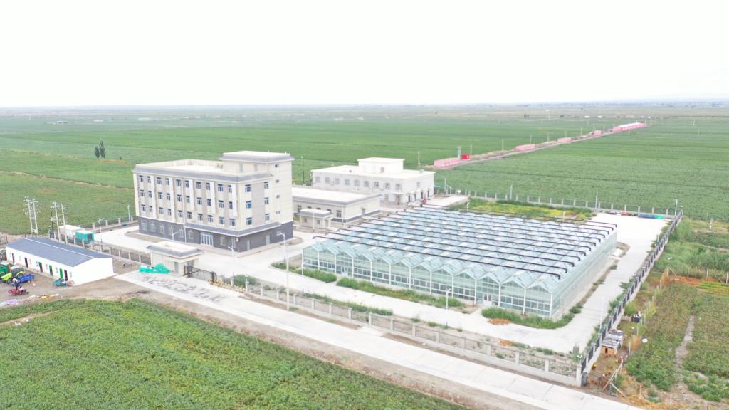 国家植物保护库尔勒观测实验站航拍图 国家植物保护库尔勒观测实验站航拍图