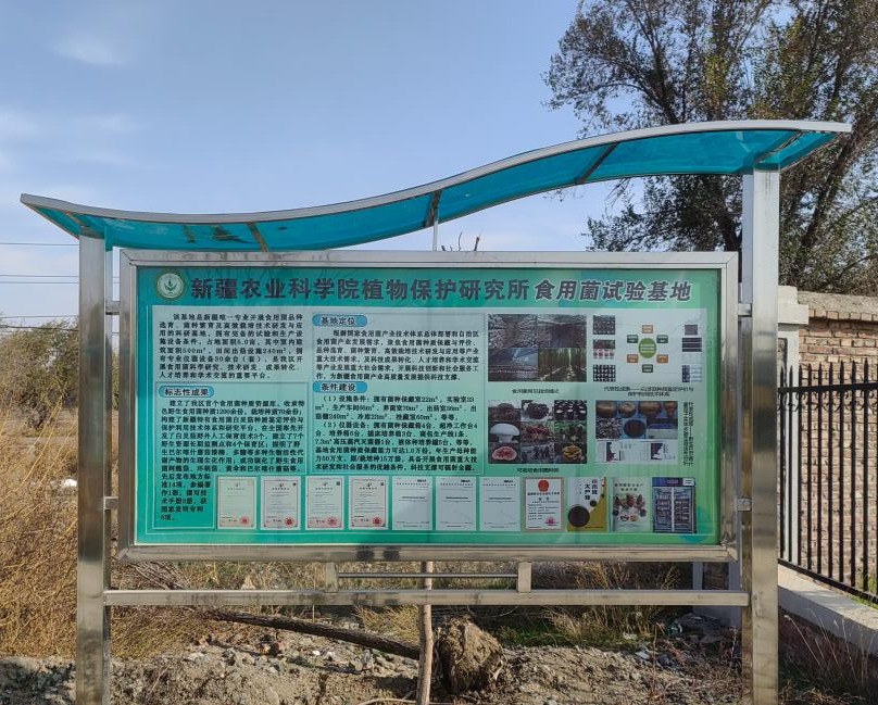 新疆农科院植保所安宁渠食用菌试验基地挂牌 新疆农科院植保所安宁渠食用菌试验基地挂牌