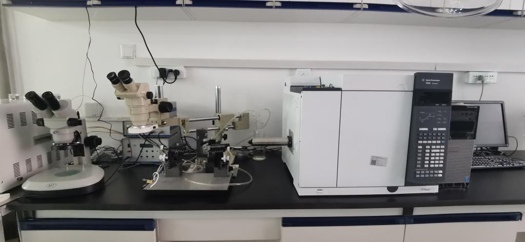 昆虫触角电位-气象色谱联用系统