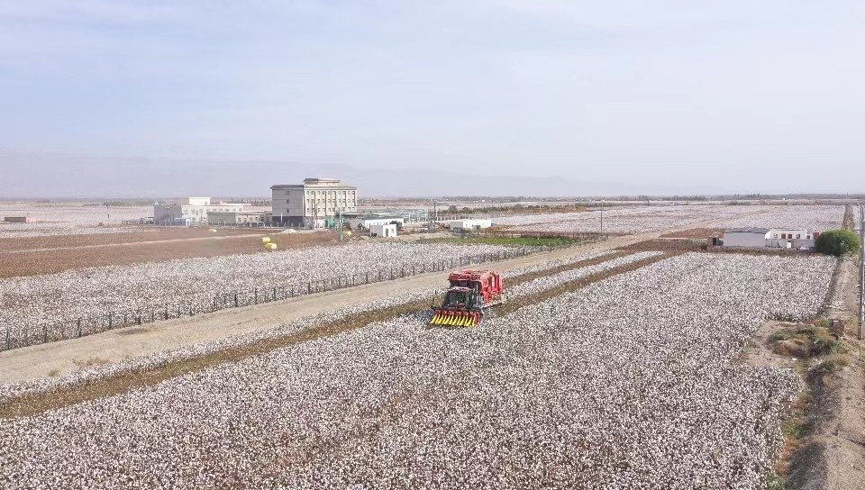 自治区农科院植保所库尔勒试验基地 自治区农科院植保所库尔勒试验基地